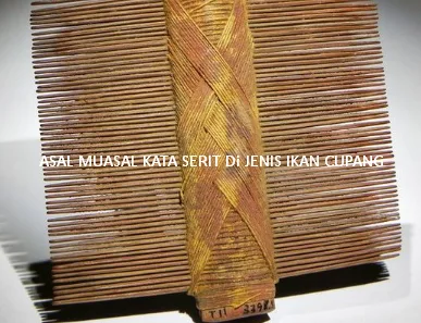 asal muasal ikan cupang dinamakan serit