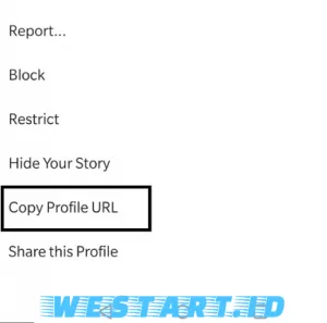 Cara mengetahui atau melihat link instagram kita