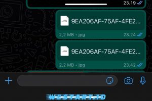 Hasil Mengirimkan File HD di Wa Iphone